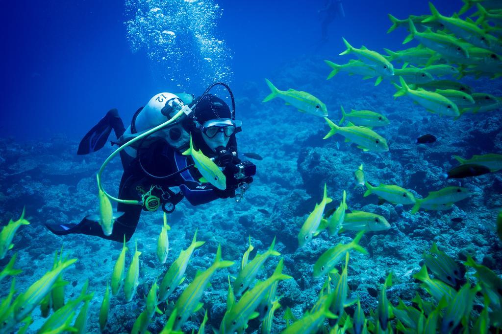 Equa Reef Maldives Hotel Addu City Exterior photo