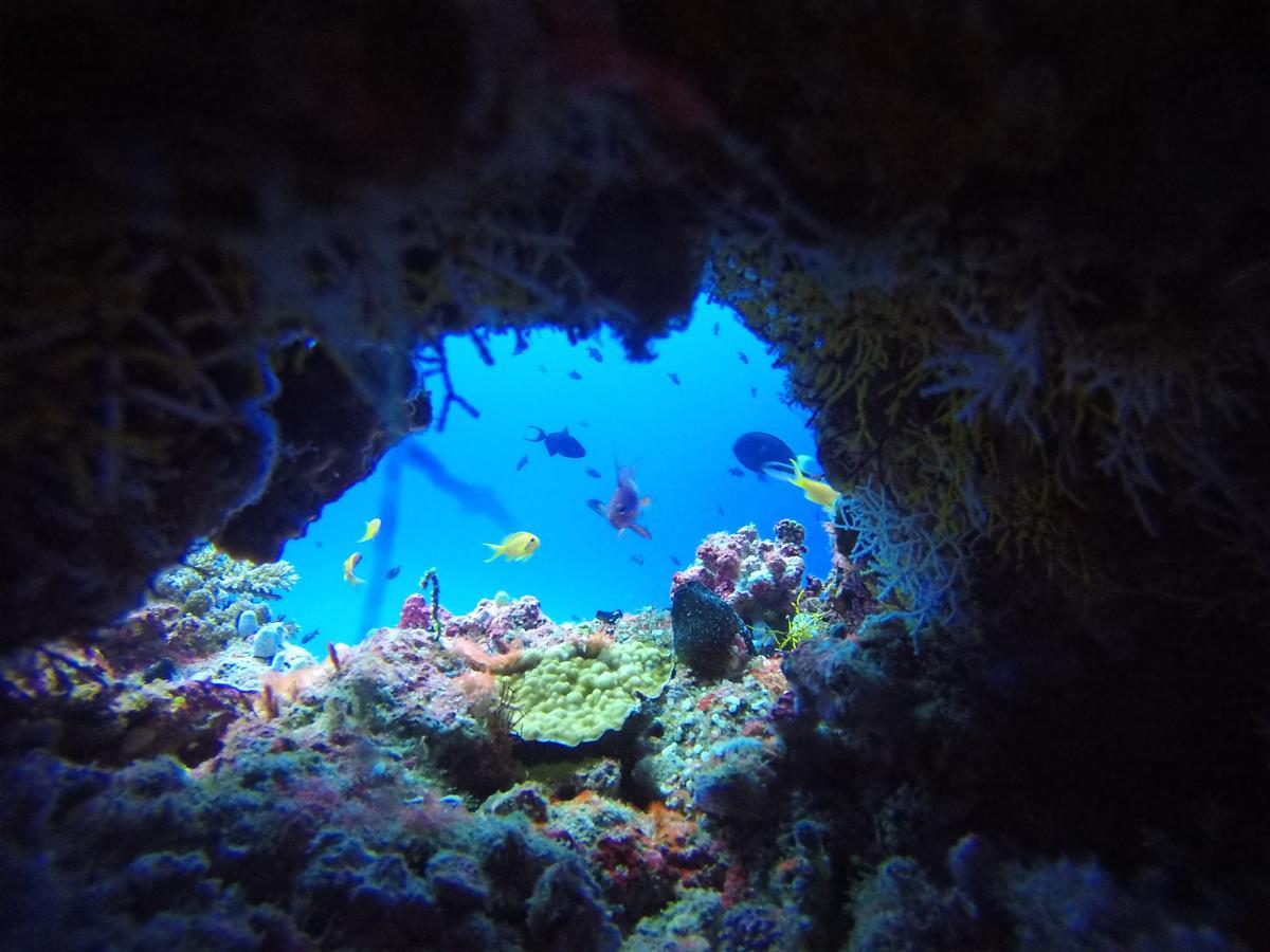 Equa Reef Maldives Hotel Addu City Exterior photo