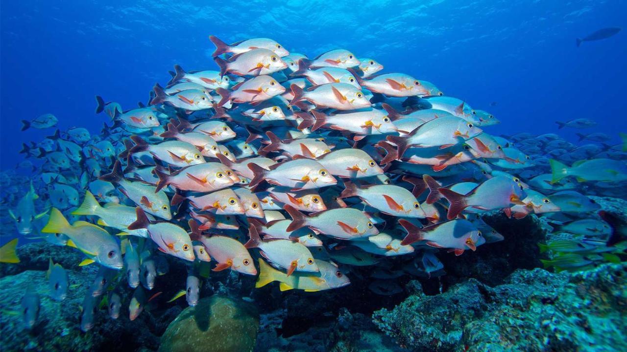 Equa Reef Maldives Hotel Addu City Exterior photo